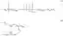 Fig. 02 - DOUBLE STRAND COMPOSITIONS COMPRISING DIFFERENTIALLY MODIFIED STRANDS FOR USE IN GENE MODULATION