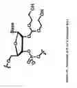 Fig. 18 - MODIFIED POLYNUCLEOTIDES FOR USE IN RNA INTERFERENCE