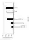 Fig. 50 - MODIFIED POLYNUCLEOTIDES FOR USE IN RNA INTERFERENCE