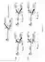Fig. 55 - MODIFIED POLYNUCLEOTIDES FOR USE IN RNA INTERFERENCE