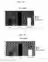 Fig. 13 - Beta secretase polypeptides