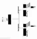Fig. 16 - Beta secretase polypeptides