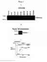 Fig. 02 - Agents for preventing and treating disorders involving modulation of the RyR receptors