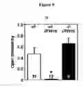 Fig. 14 - Agents for preventing and treating disorders involving modulation of the RyR receptors