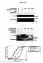 Fig. 15 - Agents for preventing and treating disorders involving modulation of the RyR receptors