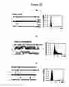 Fig. 16 - Agents for preventing and treating disorders involving modulation of the RyR receptors