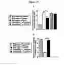 Fig. 22 - Agents for preventing and treating disorders involving modulation of the RyR receptors