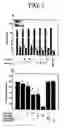 Fig. 06 - Methods for suppressing an immune response or treating a proliferative disorder