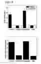 Fig. 12 - Methods for suppressing an immune response or treating a proliferative disorder