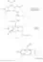 Fig. 1289 - Pyrazolopyrimidine derivatives or pharmaceutically acceptable salts thereof