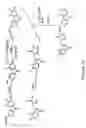 Fig. 19 - IDO inhibitors and methods of use