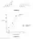 Fig. 07 - Compound