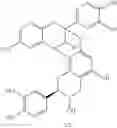 Fig. 11 - Synthesis of polycyclic procyanidins