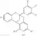 Fig. 14 - Synthesis of polycyclic procyanidins