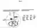 Fig. 04 - Activation of hypoxia-inducible gene expression