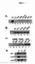 Fig. 07 - Activation of hypoxia-inducible gene expression