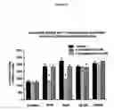 Fig. 20 - Activation of hypoxia-inducible gene expression