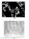 Fig. 02 - Inorganic-organic polymer nanocomposite and methods for making and using