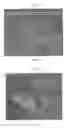 Fig. 19 - Reinforced polyurethanes and poly(ureaurethane)s, methods of making the same and articles prepared therefrom