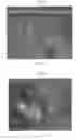 Fig. 19 - Polyurethanes, articles and coatings prepared therefrom and methods of making the same