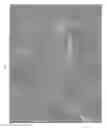 Fig. 06 - Poly(ureaurethane)s, articles and coatings prepared therefrom and methods of making the same