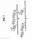 Fig. 02 - Method for preparing polyfunctionalized peptides and/or proteins via native chemical ligation