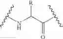 Fig. 12 - Method for preparing polyfunctionalized peptides and/or proteins via native chemical ligation