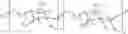 Fig. 18 - Method for preparing polyfunctionalized peptides and/or proteins via native chemical ligation