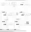 Fig. 40 - Method for preparing polyfunctionalized peptides and/or proteins via native chemical ligation