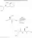 Fig. 41 - Method for preparing polyfunctionalized peptides and/or proteins via native chemical ligation
