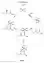 Fig. 02 - Catalytic composition and process for asymmetric hydrogenation