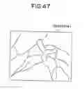 Fig. 36 - Object observation system and method utilizing three dimensional imagery and real time imagery during a procedure
