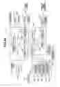 Fig. 64 - Object observation system and method utilizing three dimensional imagery and real time imagery during a procedure