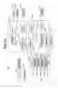 Fig. 83 - Object observation system and method utilizing three dimensional imagery and real time imagery during a procedure