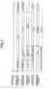 Fig. 04 - Endoscope image pick-up apparatus