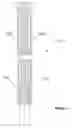 Fig. 09 - Endoscope