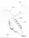 Fig. 12 - Endoscope