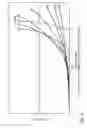 Fig. 03 - Collagen density and structural change measurement and mapping in tissue