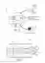 Fig. 15 - Breath and breath condensate analysis system and associated methods