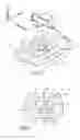 Fig. 02 - Medical line securement device