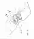 Fig. 03 - Securement device for indwelling catheters or introducers