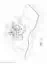 Fig. 04 - Securement device for indwelling catheters or introducers
