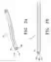 Fig. 06 - FLUID INJECTION SYSTEM AND METHOD USING MULTI-LUMEN CATHETERS