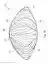 Fig. 08 - System and method for treating the structure of the human lens with a laser
