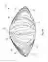 Fig. 15 - System and apparatus for treating the lens of an eye