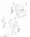 Fig. 08 - DEVICE AND METHOD FOR THE PLACEMENT OF SPINAL FIXATORS