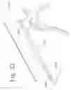 Fig. 22 - DEVICE AND METHOD FOR THE PLACEMENT OF SPINAL FIXATORS