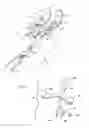 Fig. 37 - Apparatus and Method for Sculpting the Surface of a Joint