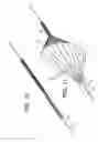 Fig. 07 - EMBOLIC PROTECTION DEVICE