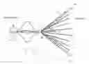 Fig. 01 - Retrievable blood clot filter